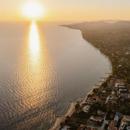 Serenity 4* Nikiti (Sithonia)