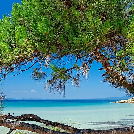 Serenity 4*