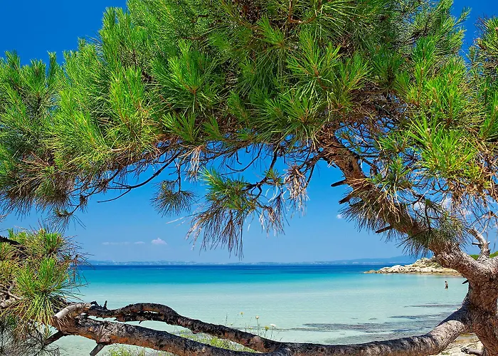 Serenity 4*
